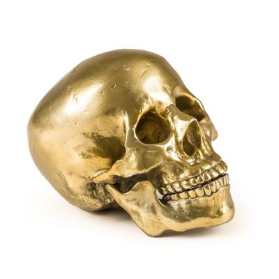 Статуэтка Seletti Статуэтка Wunderkrammer Human Skull арт. 10891