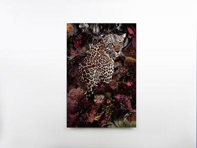 Постер Schuller Печатная фотография на стекле Leopardo 80x120 арт. 180717