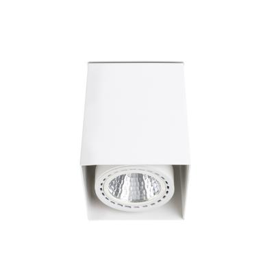 Потолочный светильник Faro Накладной светильник Teko 1 белый LED CRI95 17-24W 2700K 56є арт. 113653