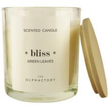 Свеча AMBIENTAIR Свеча ароматическая the olphactory, bliss, green rhubarb, 40 ч арт. VV401DLTO