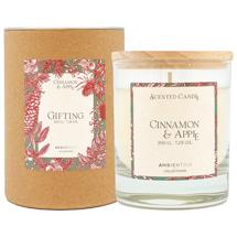 Свеча AMBIENTAIR Свеча ароматическая gifting, cinnamon&apple, 40 ч арт. VV401MCTO